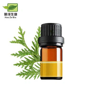 Thuja Occidentalis Nplooj Roj